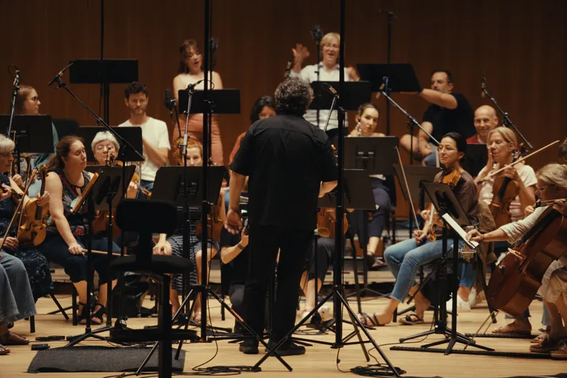 Chef d'orchestre vu de dos devant des musiciens assis avec leurs instruments à cordes, sur scène.